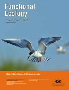 FE29.6_cover
