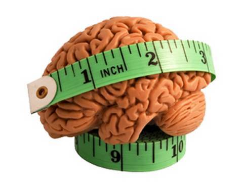 brain