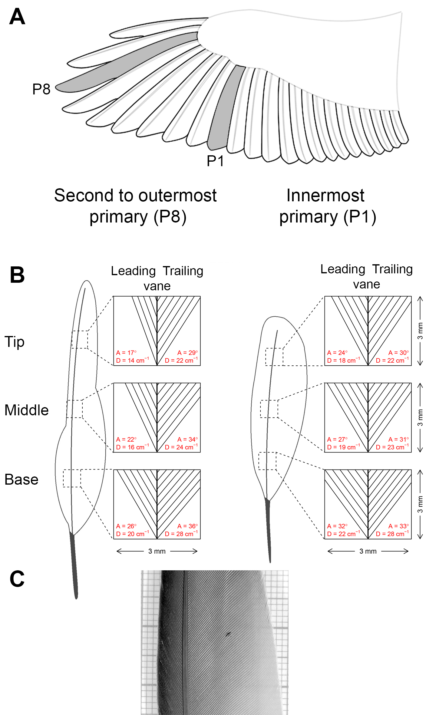 figure1_suppl_new