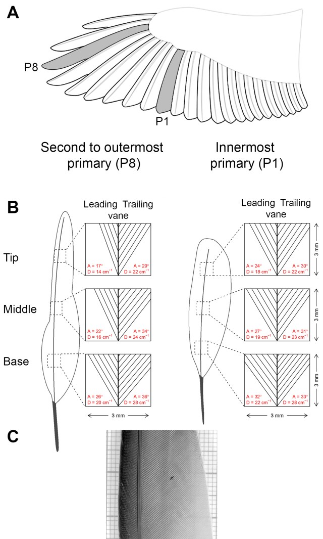 figure1_suppl_new